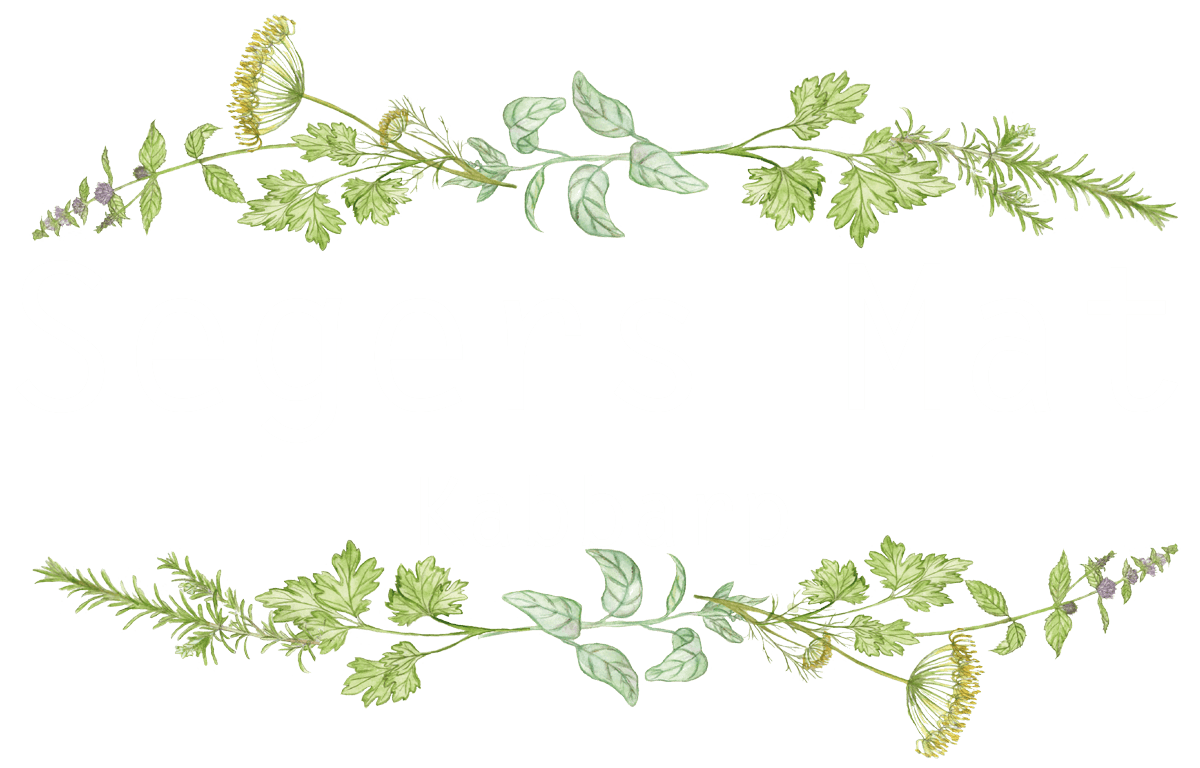 Logotyp